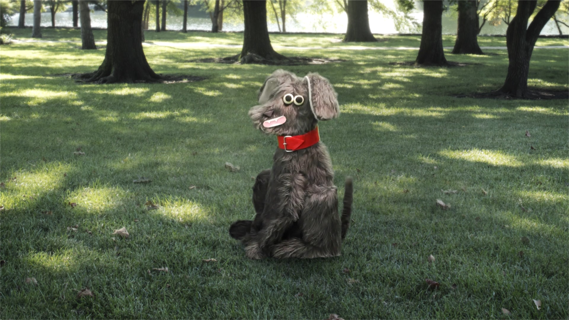 A shaggy handmade dog puppet in a sunlit park